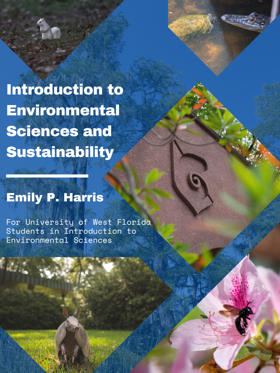 Cover image for Introduction to Environmental Sciences and Sustainability