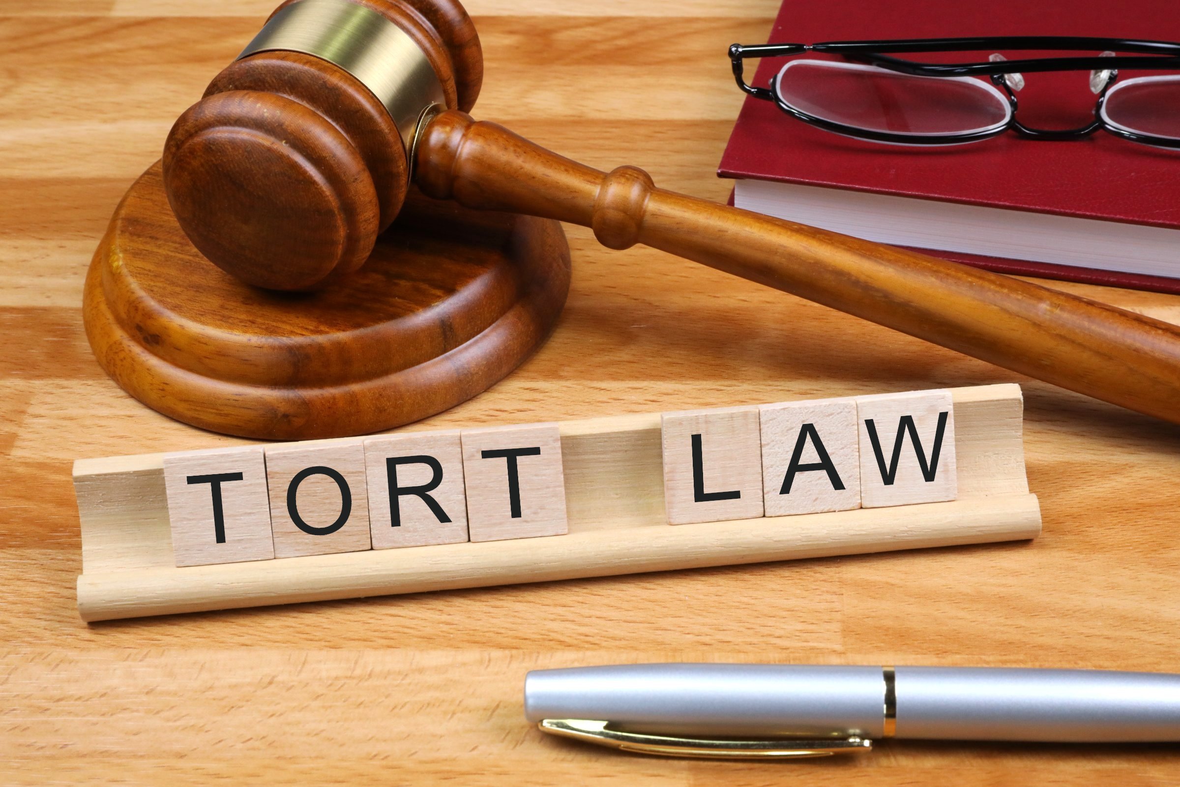 Tort Law picture of gavel