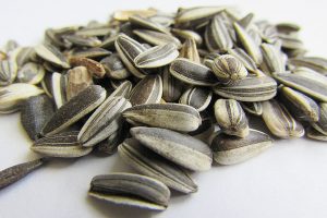 Sunflower seeds