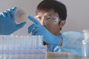 A laboratory technologist examines a petri dish.