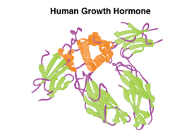 Human Growth Hormone example