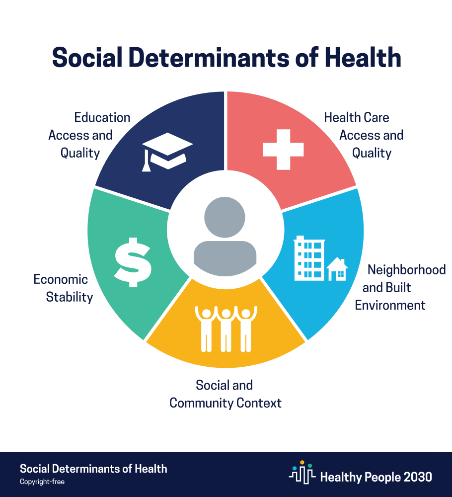 Infographic. Five icons represent the social determinants of health.